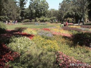 索尼rx550e摄像机,索尼dvd755e使用教程