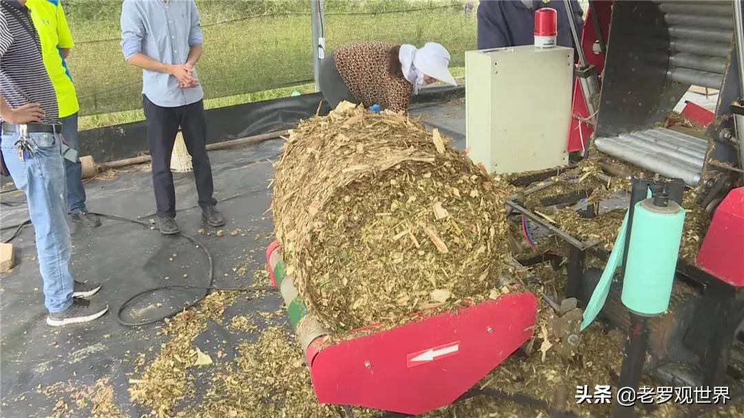 秸秆变废为宝促增收,我为群众办实事捡垃圾美篇