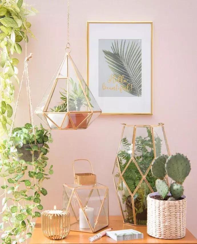 樱花春季居家搭配,樱花里的最美穿搭