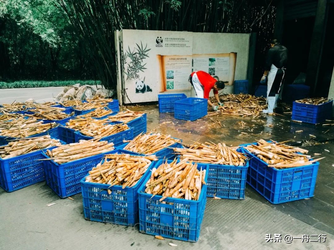 成都二三五科技有限公司,成都二三里