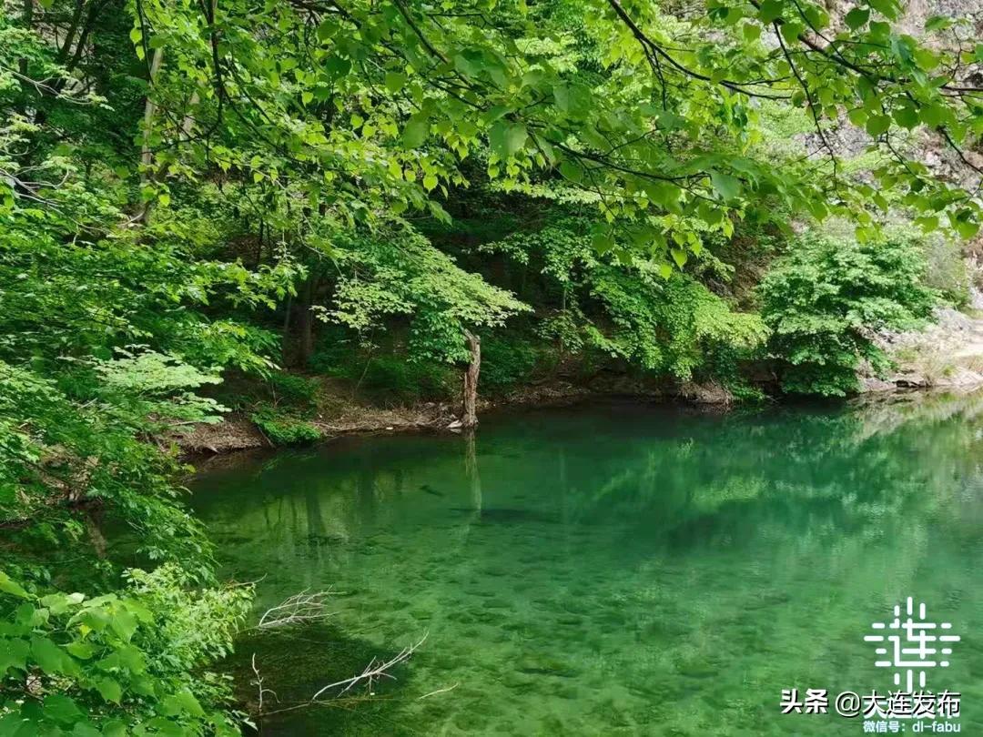 一个极美的露营地,槐之乡露营地