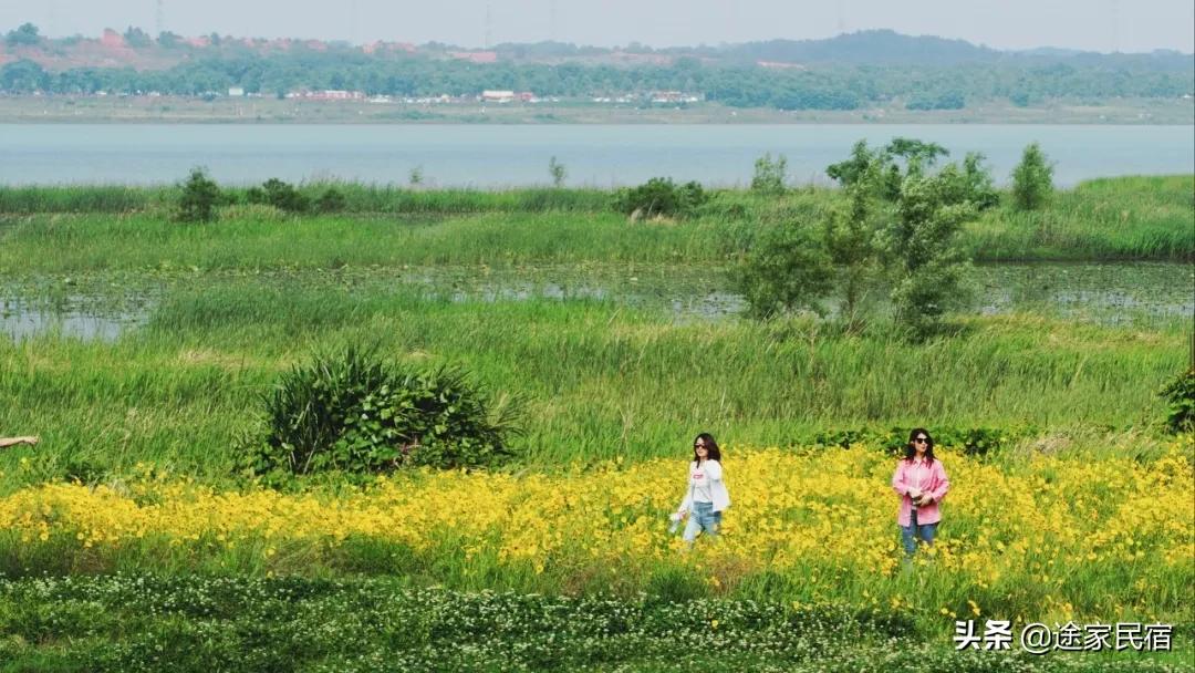 长沙小众旅游地推荐,长沙23个小众景点