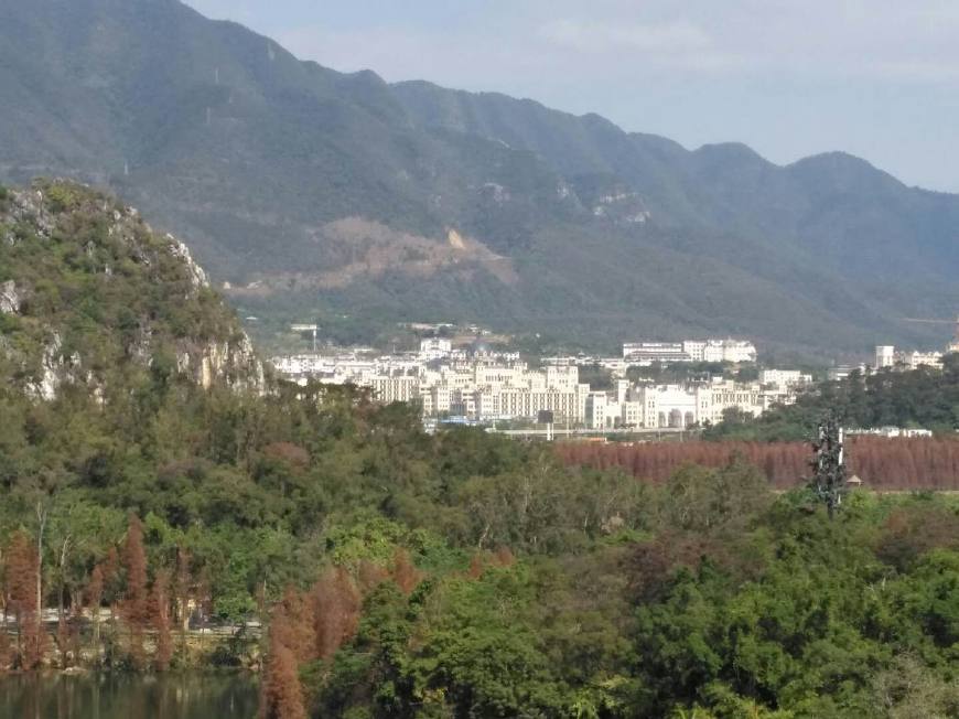 肇庆哪个公园拍照好看,肇庆市哪里值得拍照