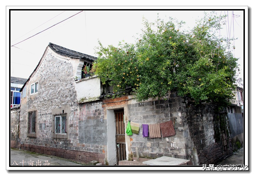 石碶村,北仑石碶村