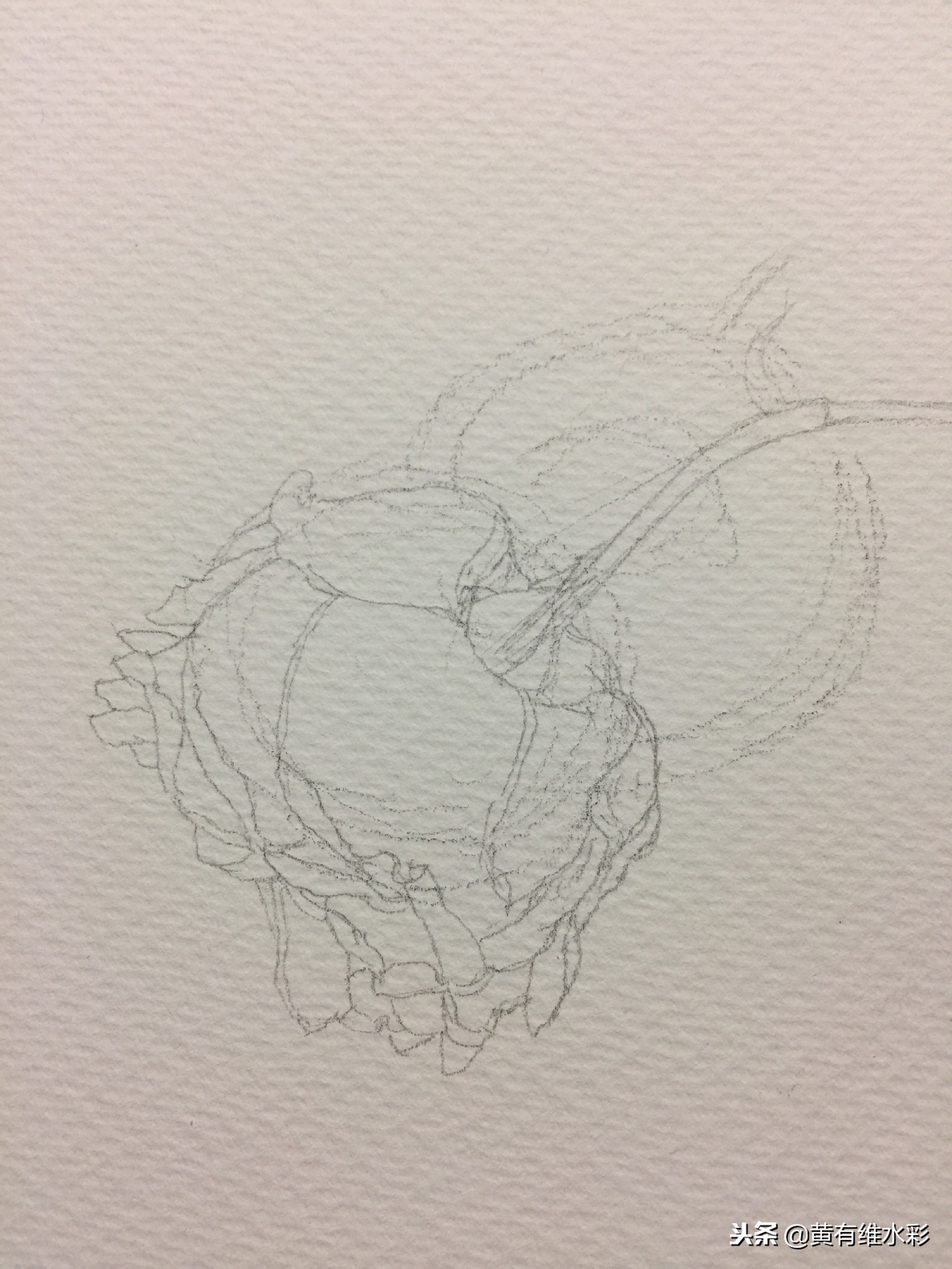 水彩教程简单好看手绘图片,水彩教程画花