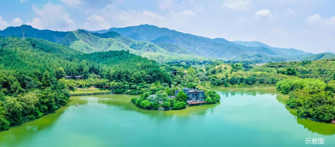 广州人换个城市开始新生活,广州人现在的生活