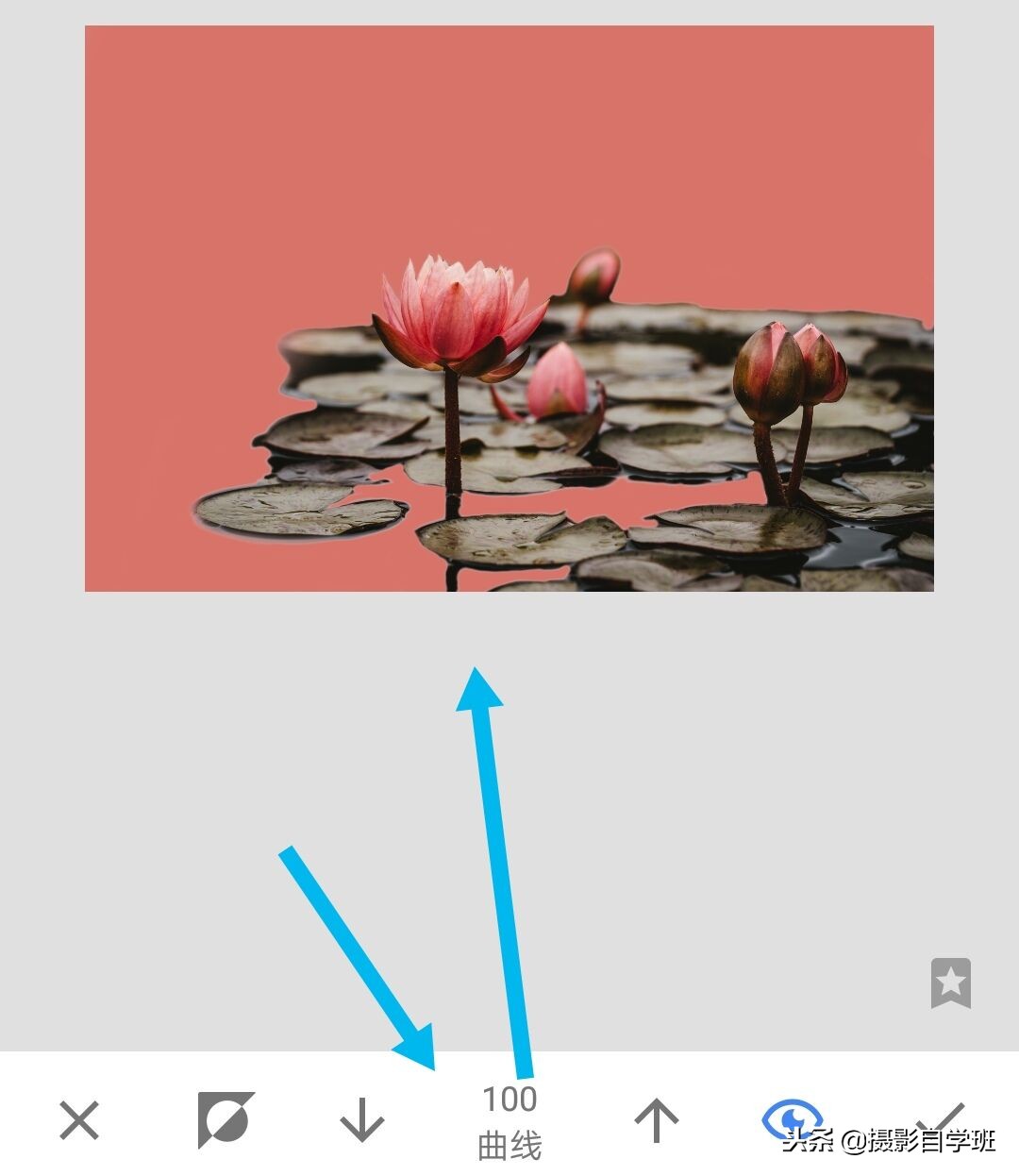 国画摄影照片,摄影怎么把图片弄成水墨画