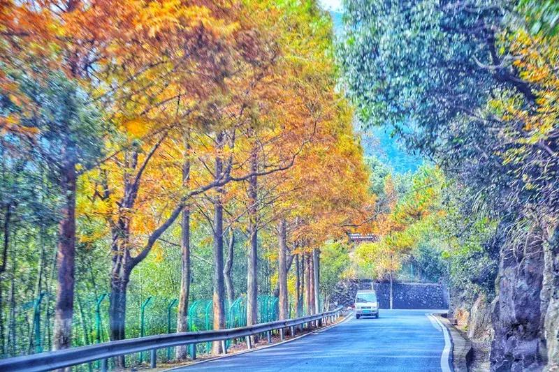 睡进这间藏身青山湖边的理想酒店，一起探寻临安城的悠居岁月~