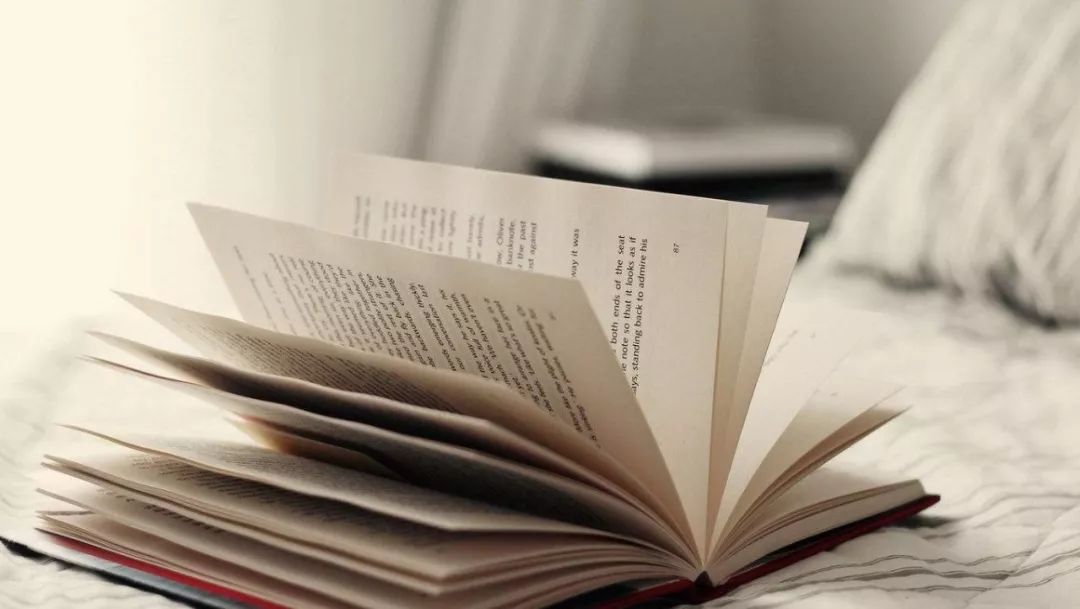 考研政治最权威的书,101考研政治参考书