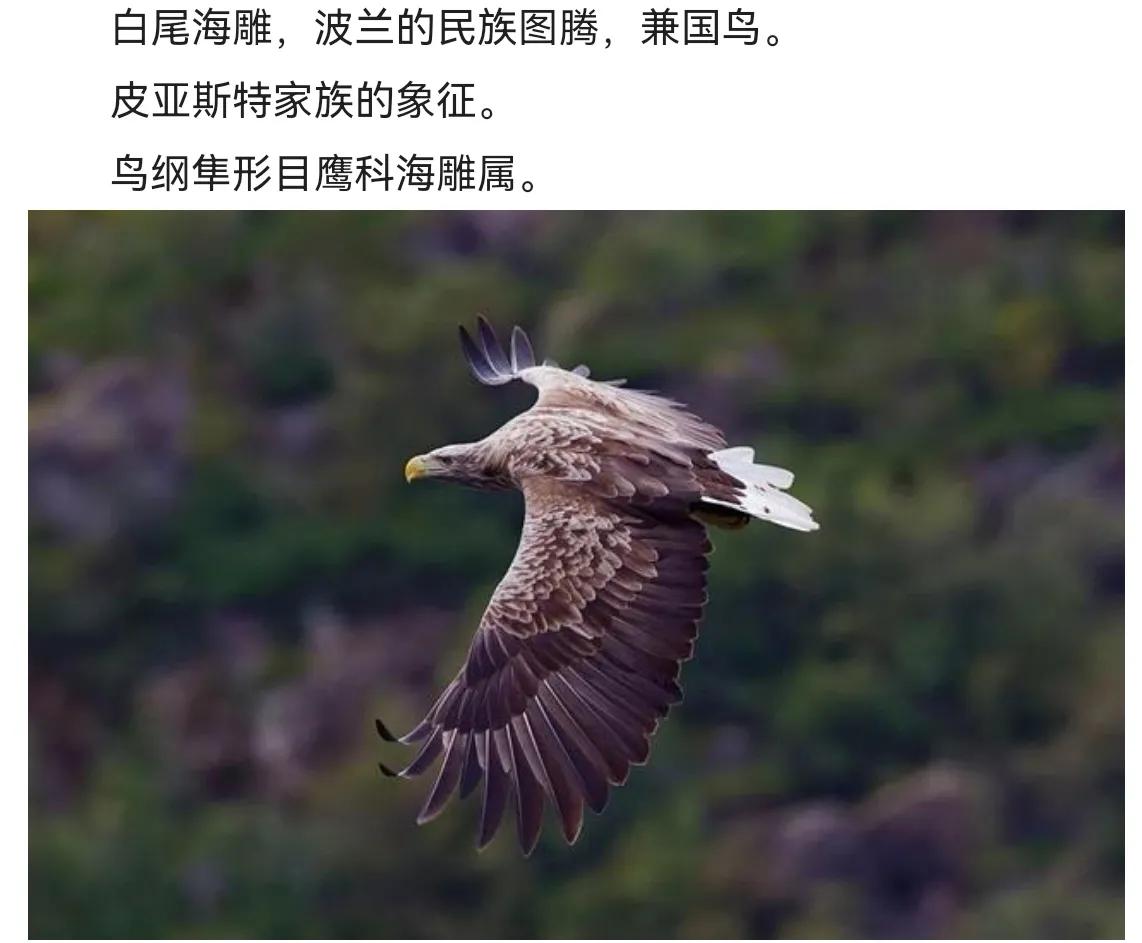 第一次出国就去荷兰,去荷兰怎么去最方便