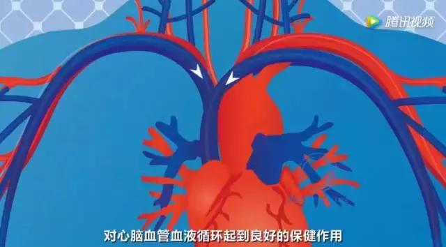 爆料泰国乳胶寝具真假,揭秘真伪泰国乳胶寝具