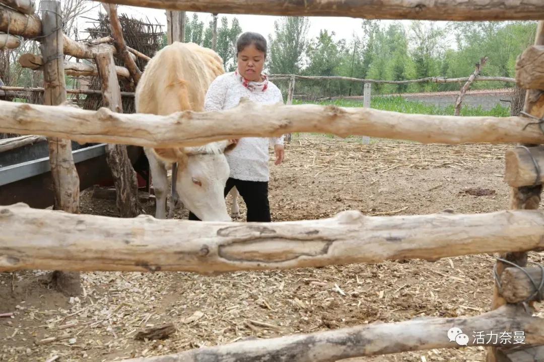 奈曼扶贫一点通,奈曼百企帮百村扶贫