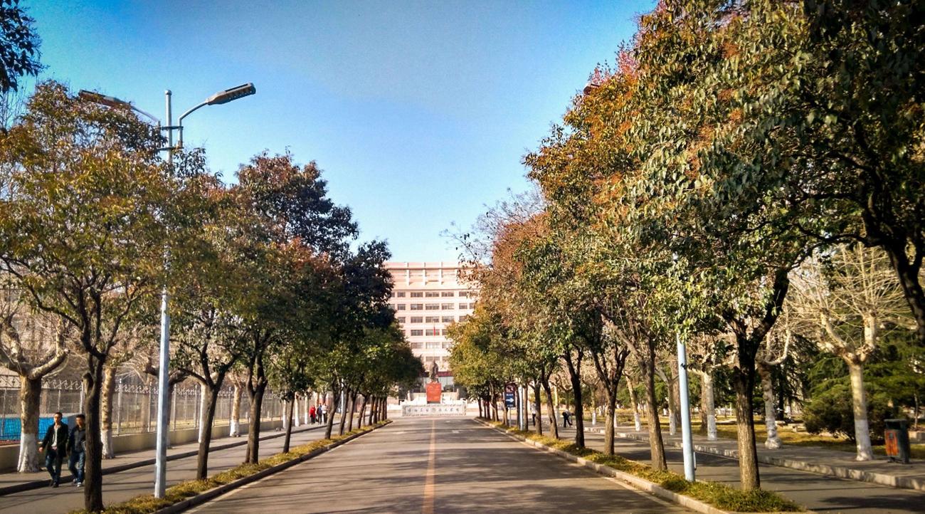 国内师范大学“三个梯队”，考上第一梯队的学生，毕业就是铁饭碗