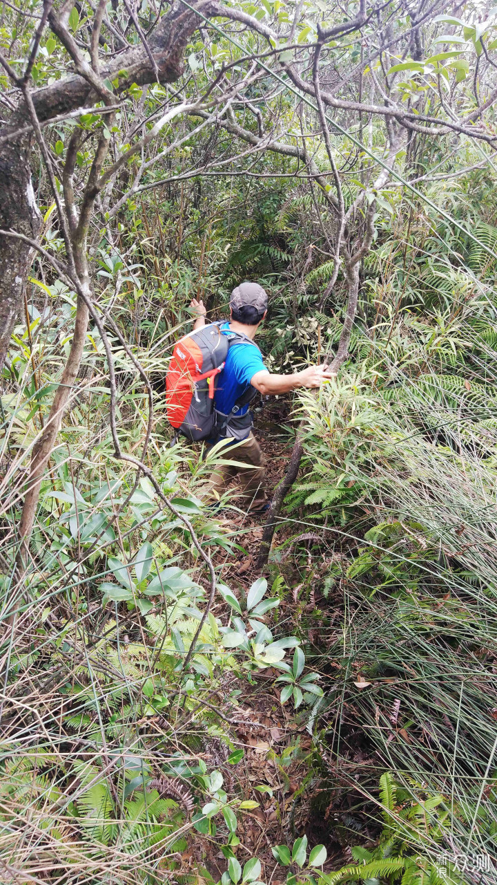 拓乐背包双肩包,拓乐户外背包