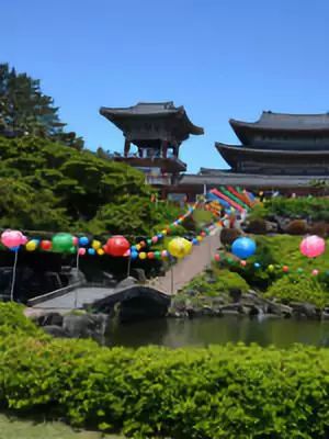 韩国曹溪寺旅游攻略,11月底韩国首尔旅游攻略