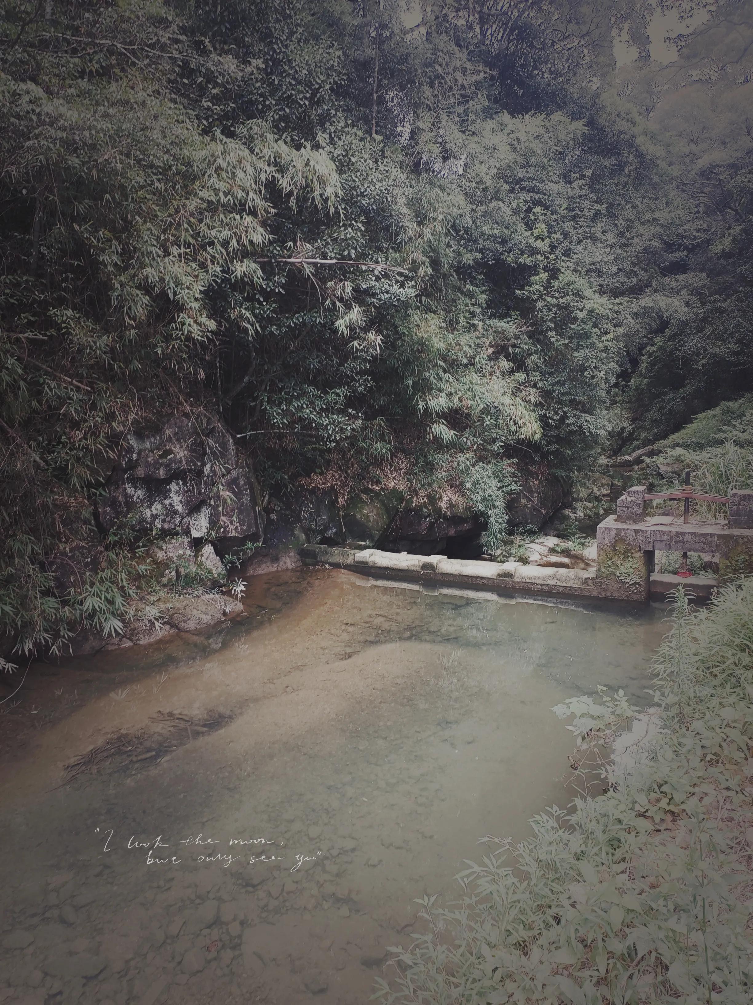 乘公交去乡下：广州海拔最高的村落-阿婆六村