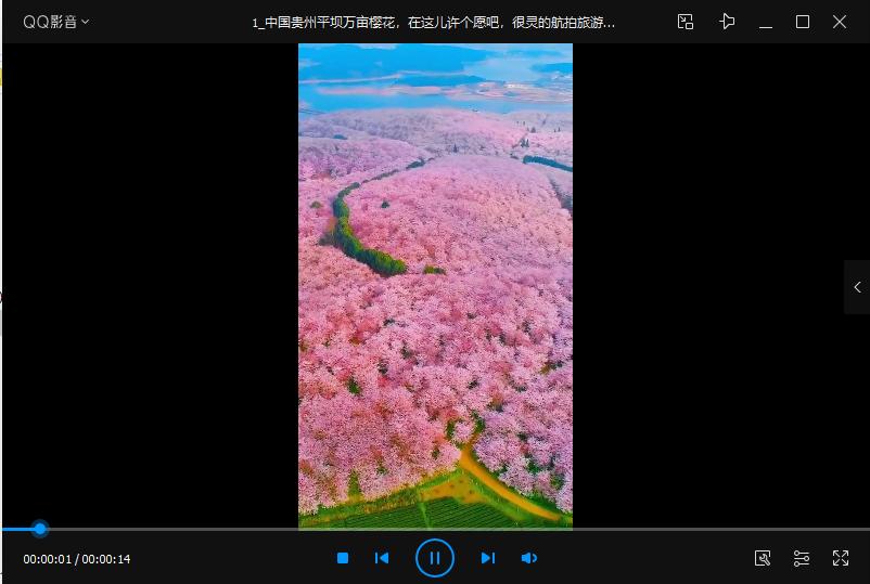 快手短视频去水印教程,快手短视频去水印小工具