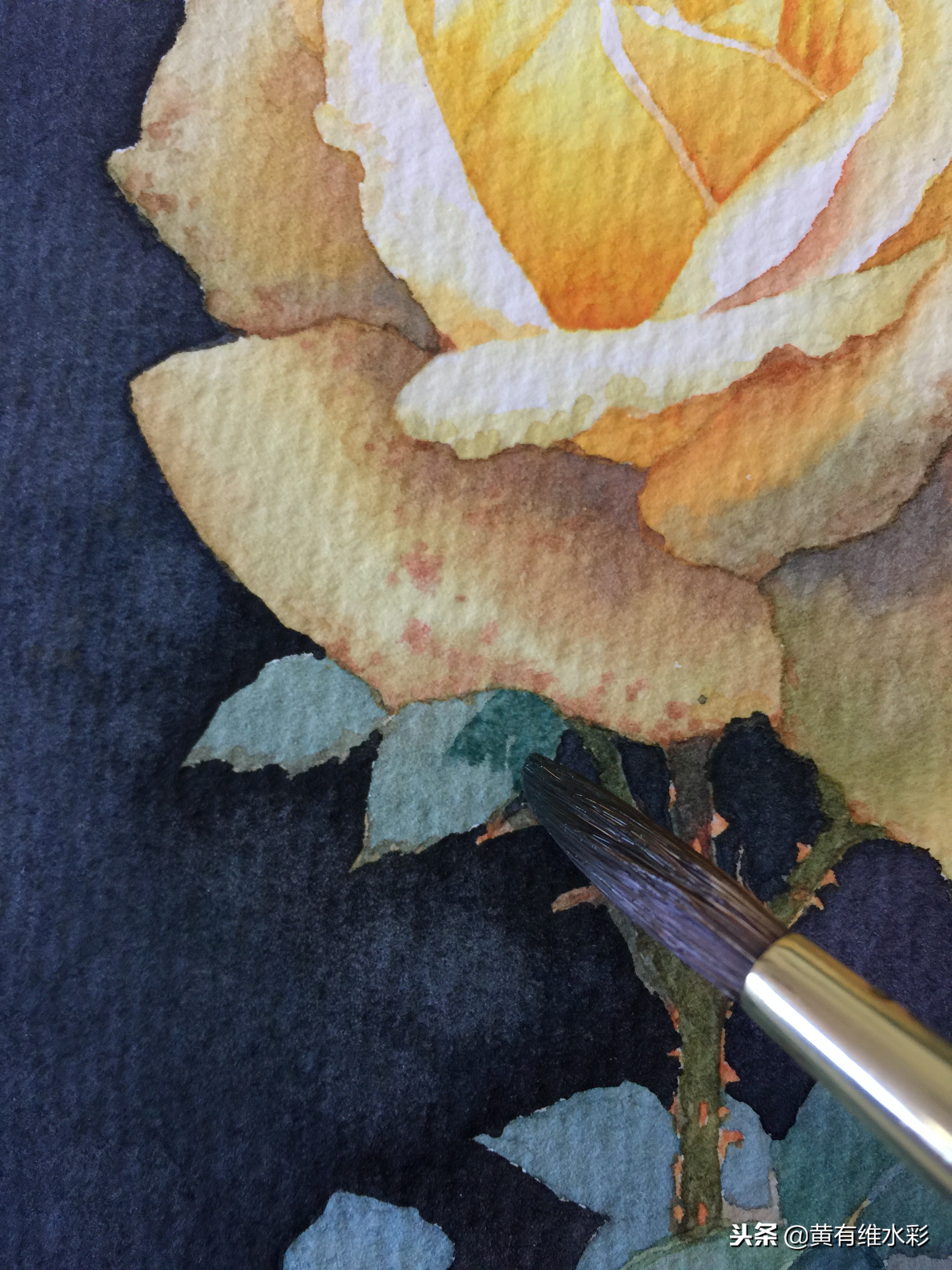 零基础入门水彩的基本画法,黄玫瑰水彩晕染