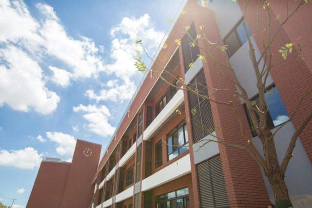 学生对高中物理的认识和感悟,高中物理优秀为什么数学不行