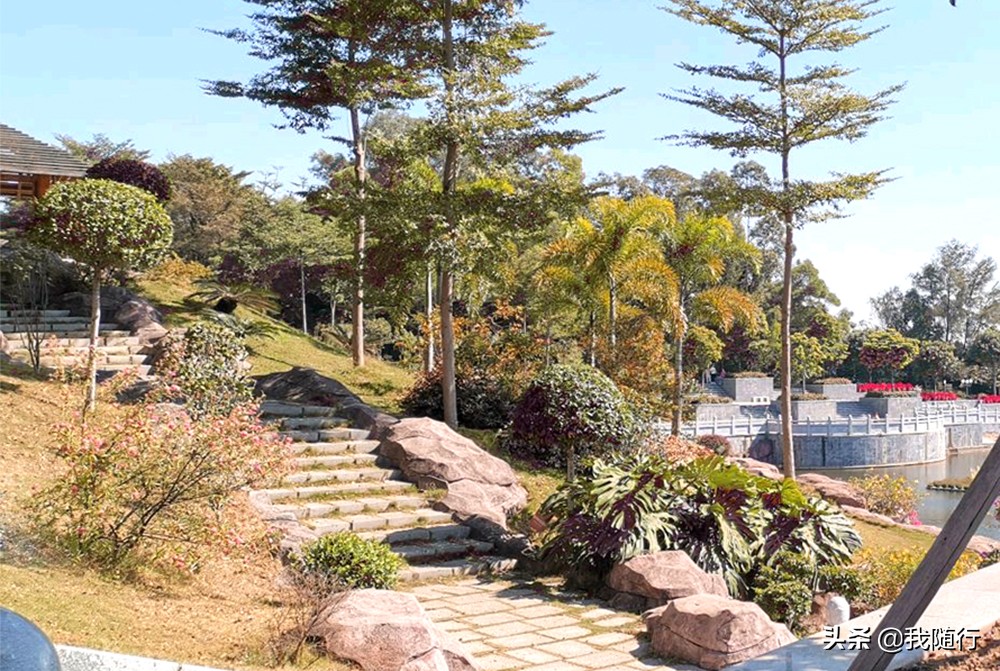 广州莲花山自驾游攻略,临夏莲花山旅游攻略自驾