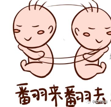 孕期周刊  第二十七周