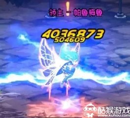 帕鲁梅鲁的打法,dnf巴卡尔boss打法教程