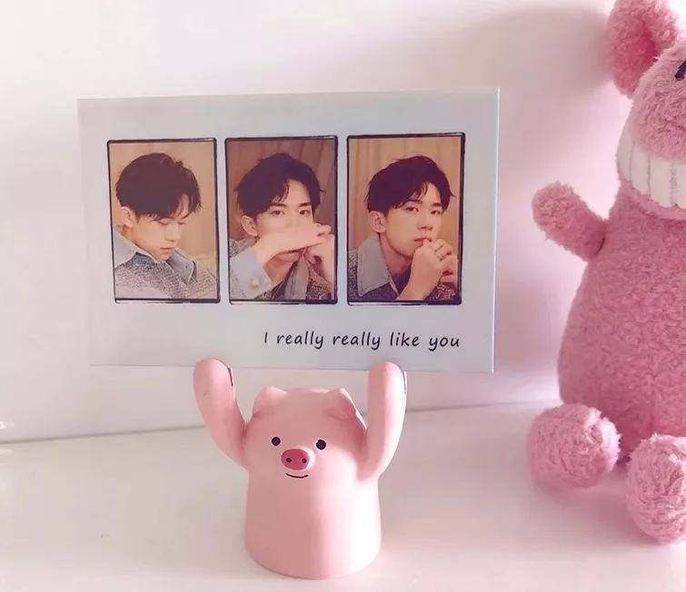 分享12月爱用物,我的12月