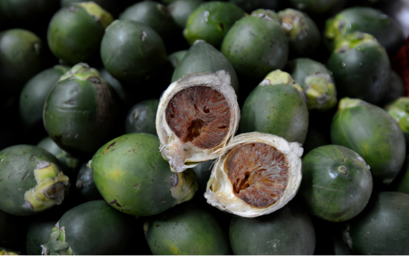 枸杞槟榔吃了头晕怎么回事,吃槟榔提神醒脑吗