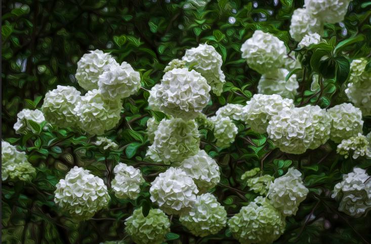 适合拍的古风景点,上海最值得拍照十条街