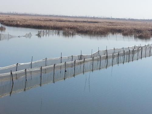 螃蟹养殖中身上脏怎么办,吉林省怎样养殖螃蟹教程