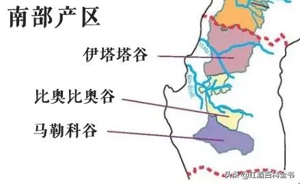 澳洲酒和智利酒,澳洲酒和智利酒的区别