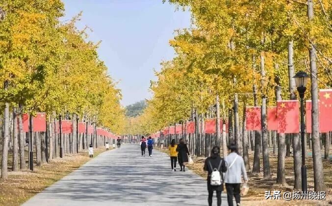 2018年冬天扬州赏花攻略,扬州11月秋景打卡地