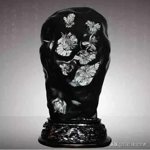 寒冷冬日，让那些永不凋零的“石头花”来温暖你