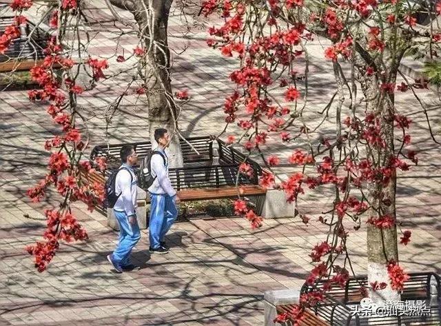 潮汕阿舅全部视频,潮汕网红澄海