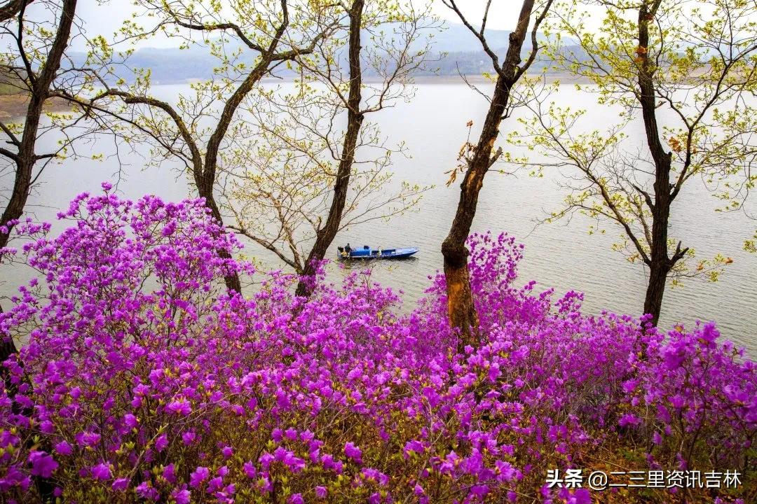 3分钟让你爱上jojo,3分钟让你爱上她