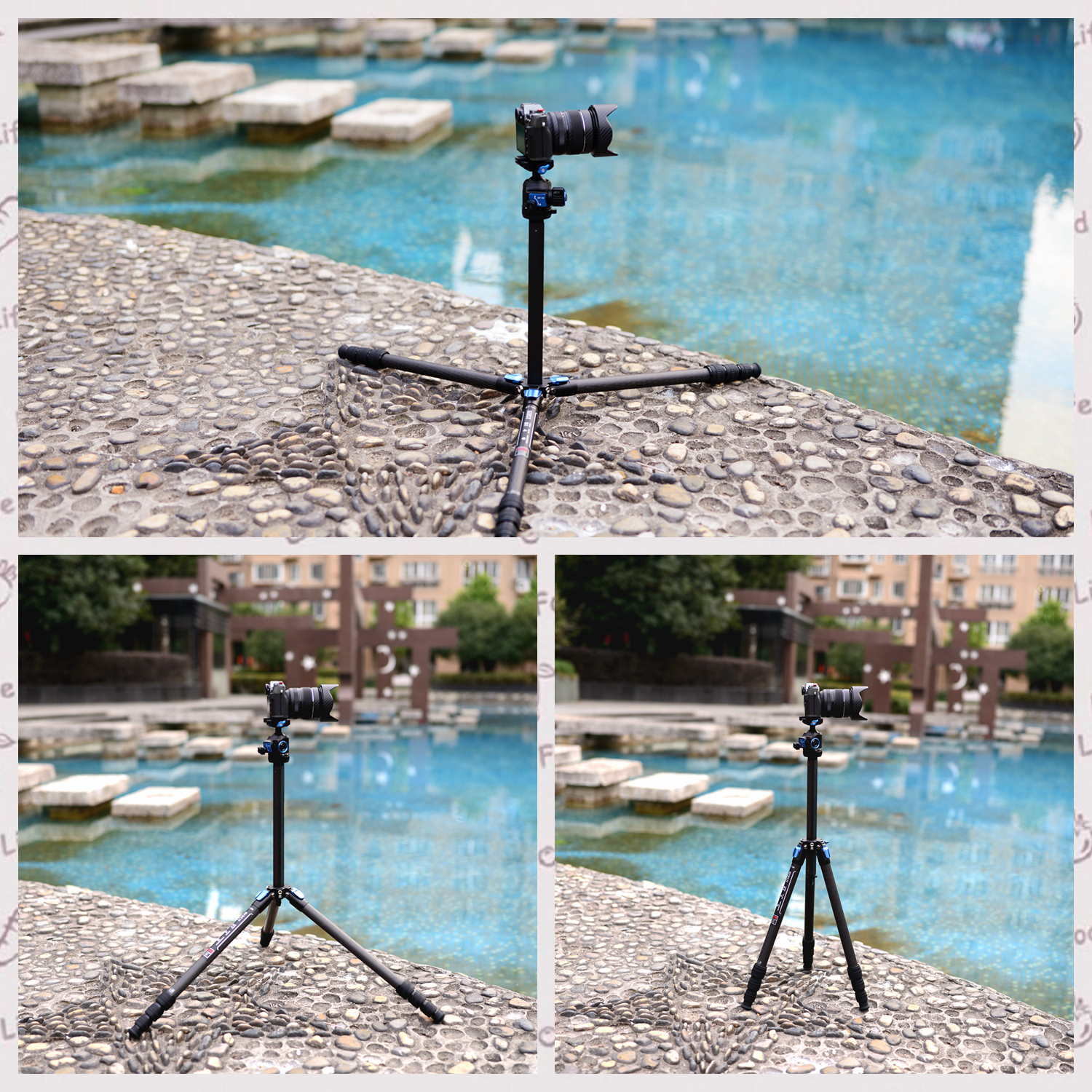 摄影好帮手,思锐便携碳纤维三脚架