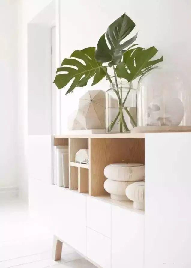 适合放卧室的高大植物,放在卧室的植物养眼