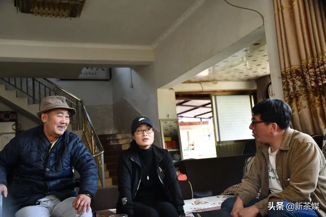 南糯山茶叶的故事,南糯山茶厂视频