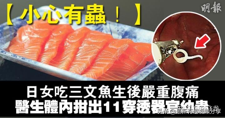 挪威三文鱼养殖环境恶劣纪录片,挪威三文鱼养殖环境恶劣新闻