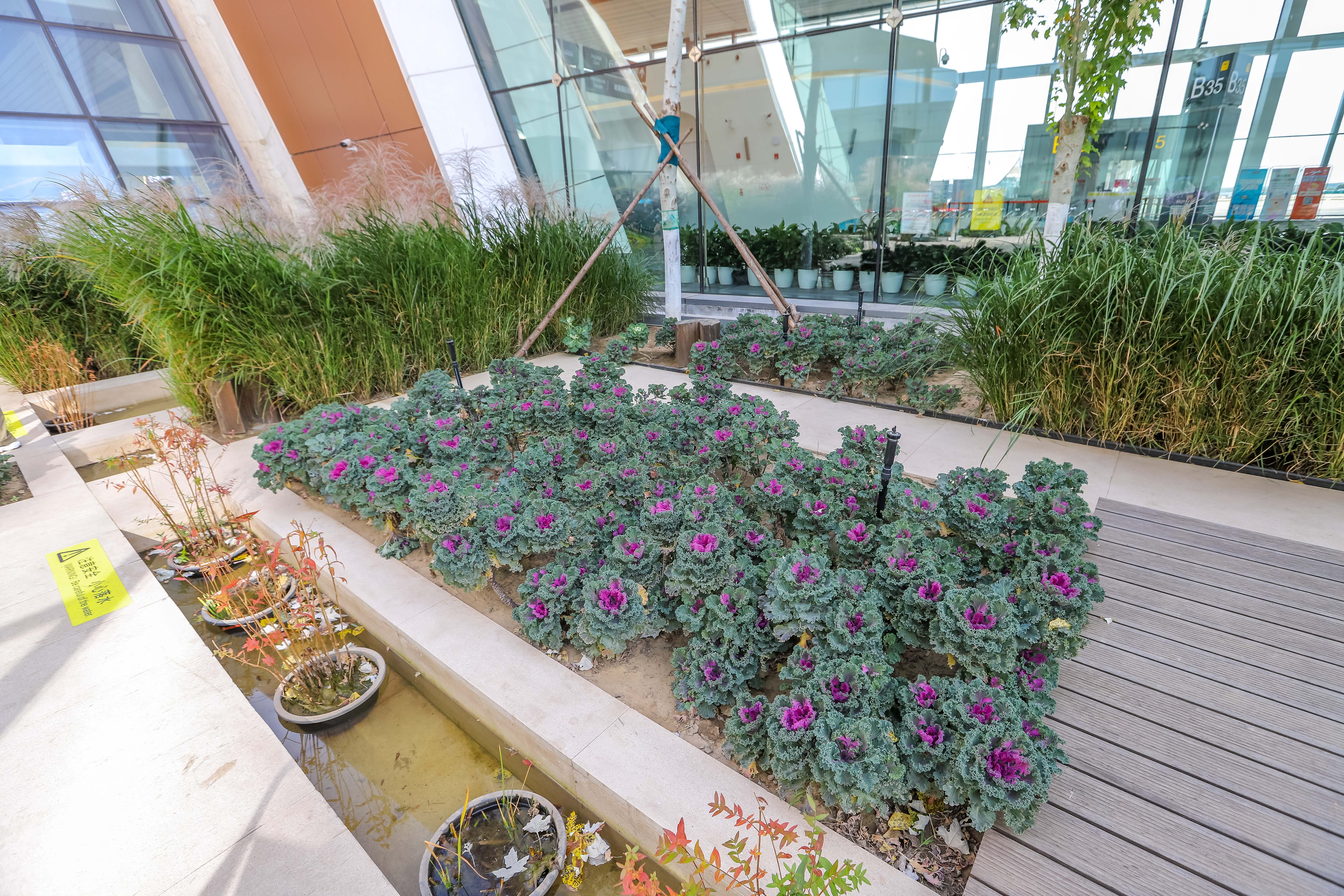 北京新晋网红打卡地,北京大兴机场网红打卡