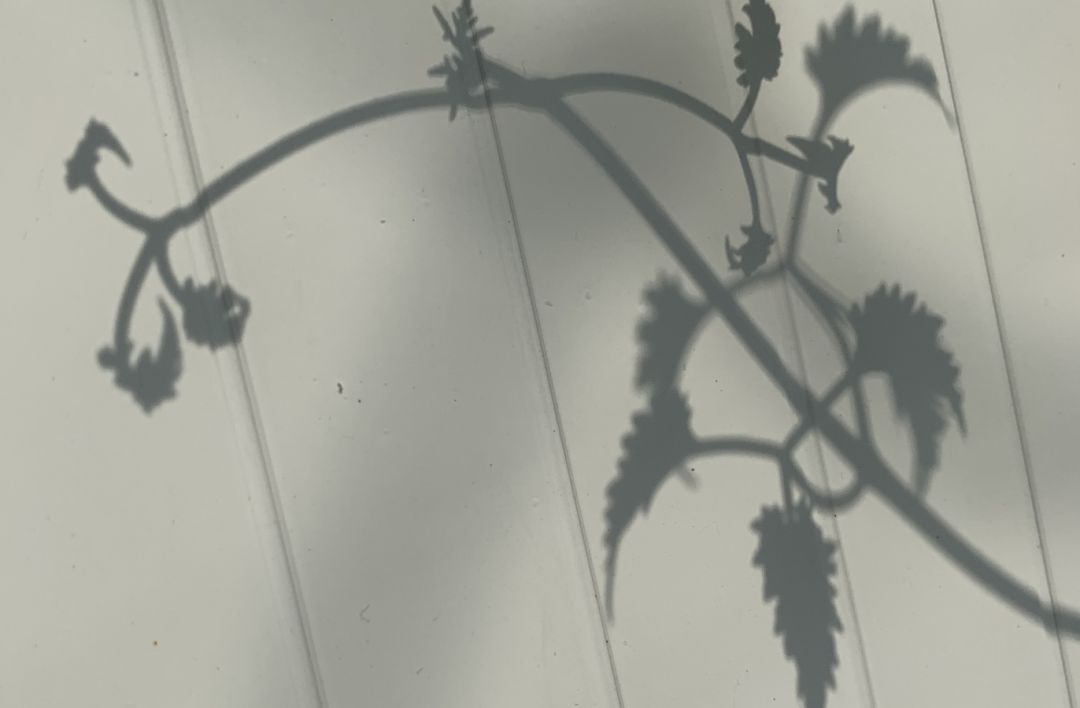 按头安利！5块钱淘宝好物，解决最难搞的收纳问题