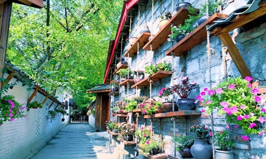 假期倒计时！推荐这条适合全家的乡村游线路