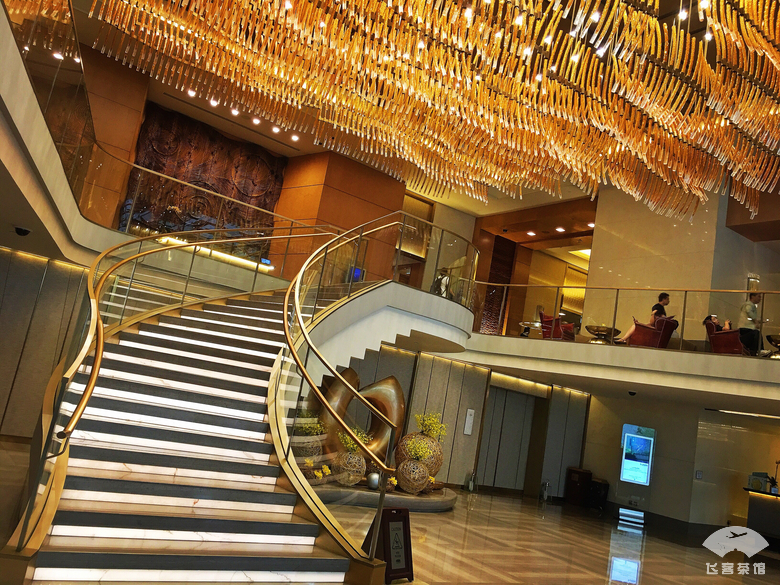 澳门旅游攻略 酒店 (澳门旅游攻略自由行酒店)