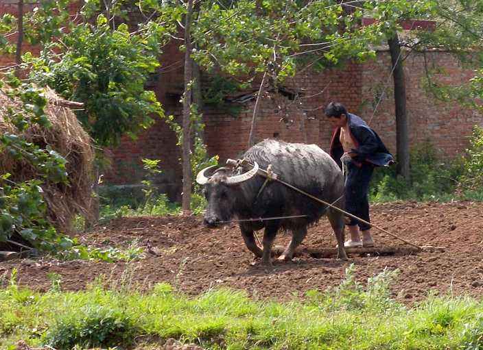 湖北防控工作,湖北的防控措施