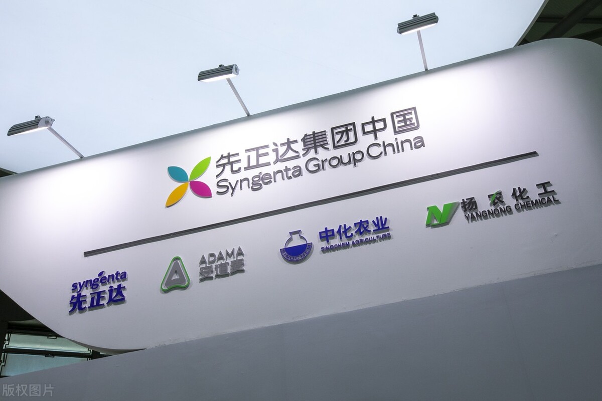 从奇异果到阳光玫瑰，这些来自国外的好吃水果，背后是种子战争