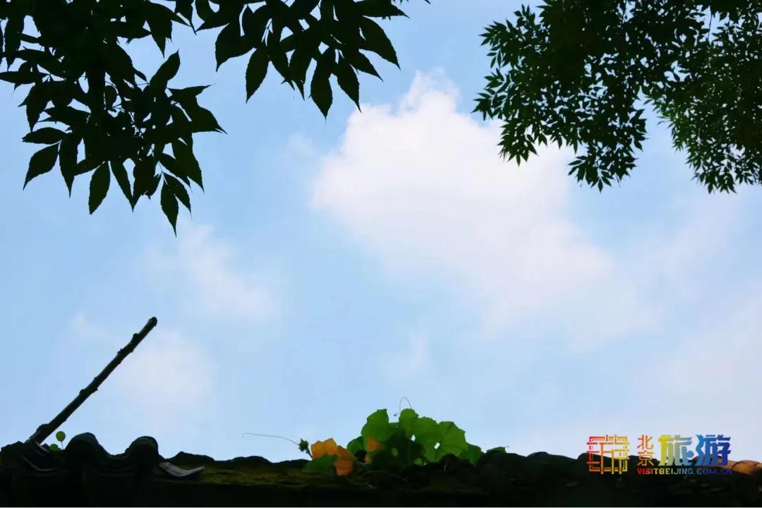 北京藏着一座神秘地下城,北京老城里竟藏着这么多古迹