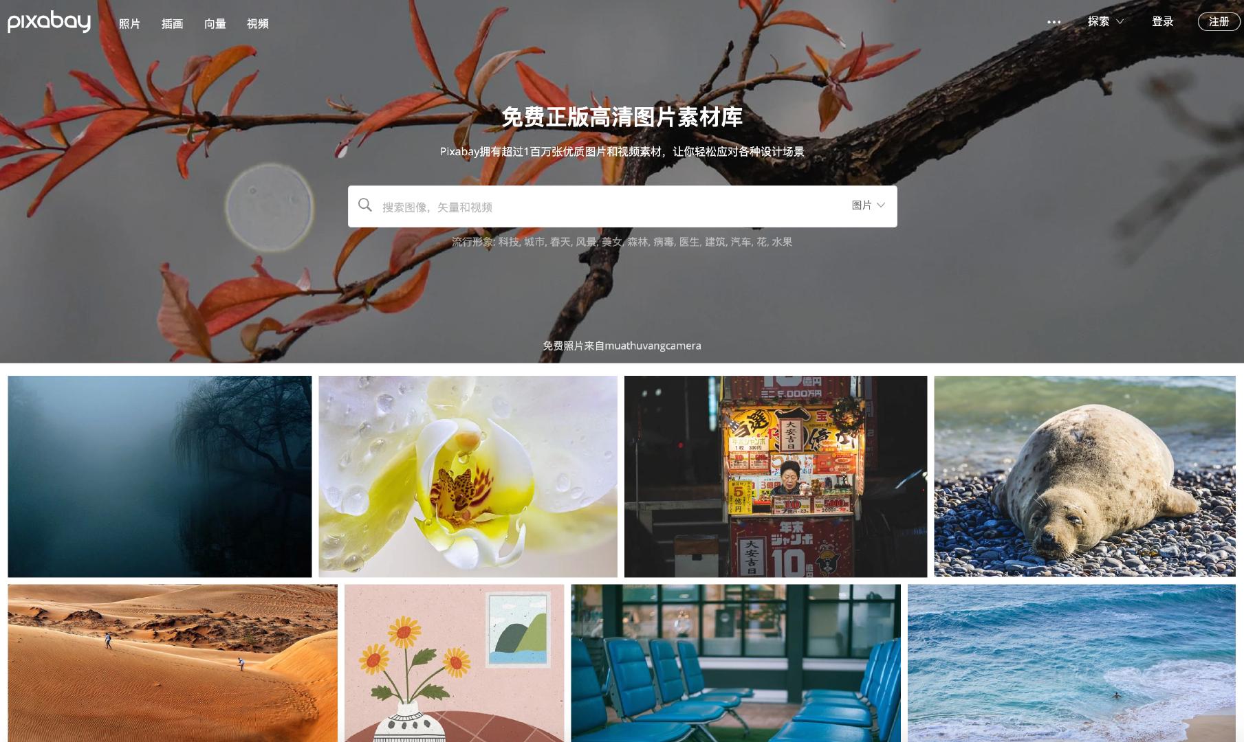 如何在网上1分钟就搜到高清优质图片？收藏这3个搜图网站就够了