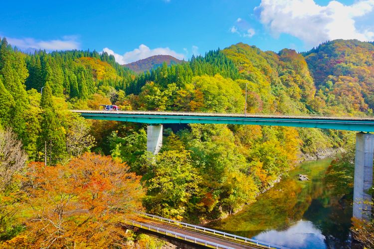 日本自由行奈良,日本秋田大馆旅游