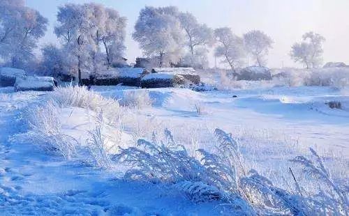 冬日必去赏雪胜地,冬日游必去的地方