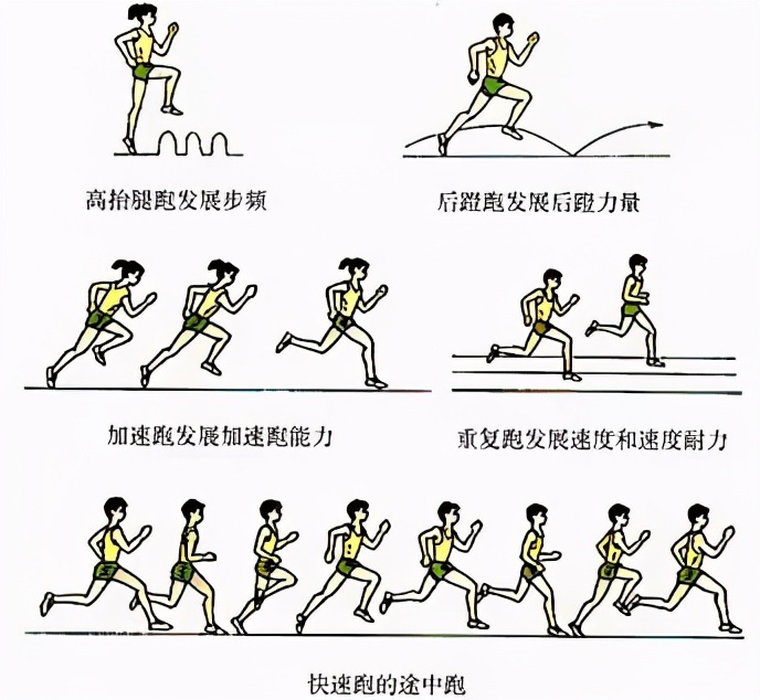 简笔体育教学挂图,体育课动作示范和挂图